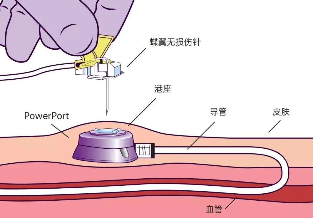 微信圖片_20230412080804.jpg