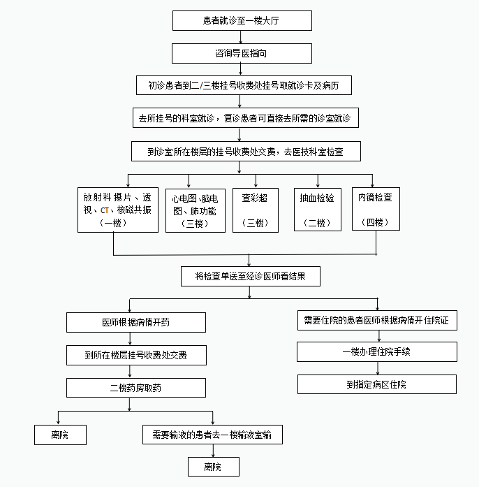 就診流程(圖1)